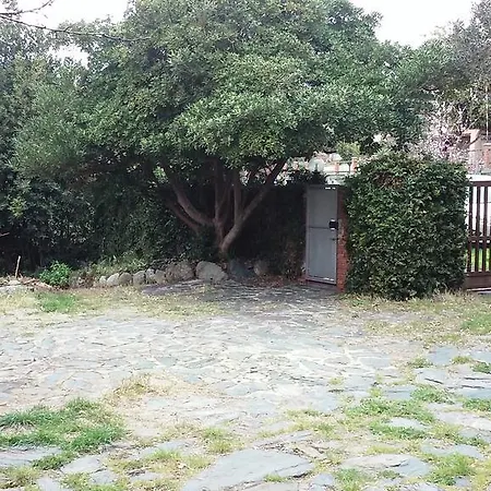 Ghirindoun Apartament *