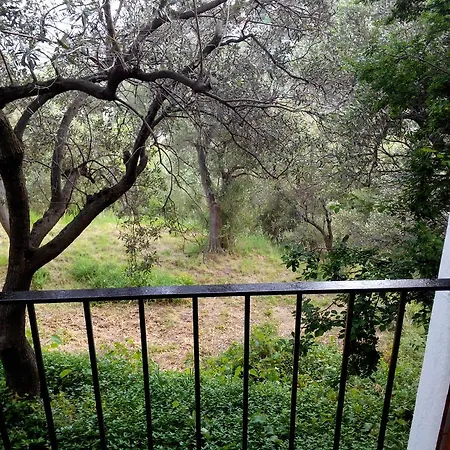 Ghirindoun Celle Ligure