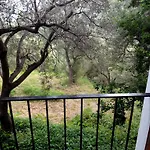 Ghirindoun Celle Ligure