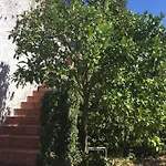 Ghirindoun Apartment