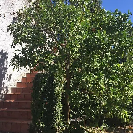 Ghirindoun Apartment
