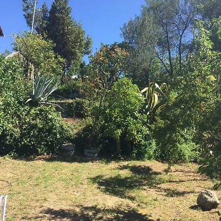 Ghirindoun * Celle Ligure