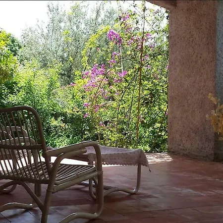Apartment Ghirindoun
